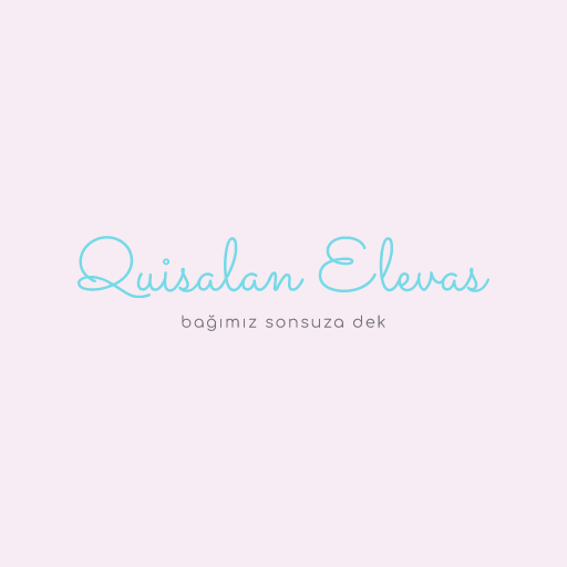 Quisalan Elevas公司