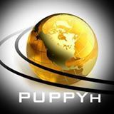 Puppyh全球营销股份有限公司。
