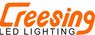 东莞市瑞信照明科技有限公司。