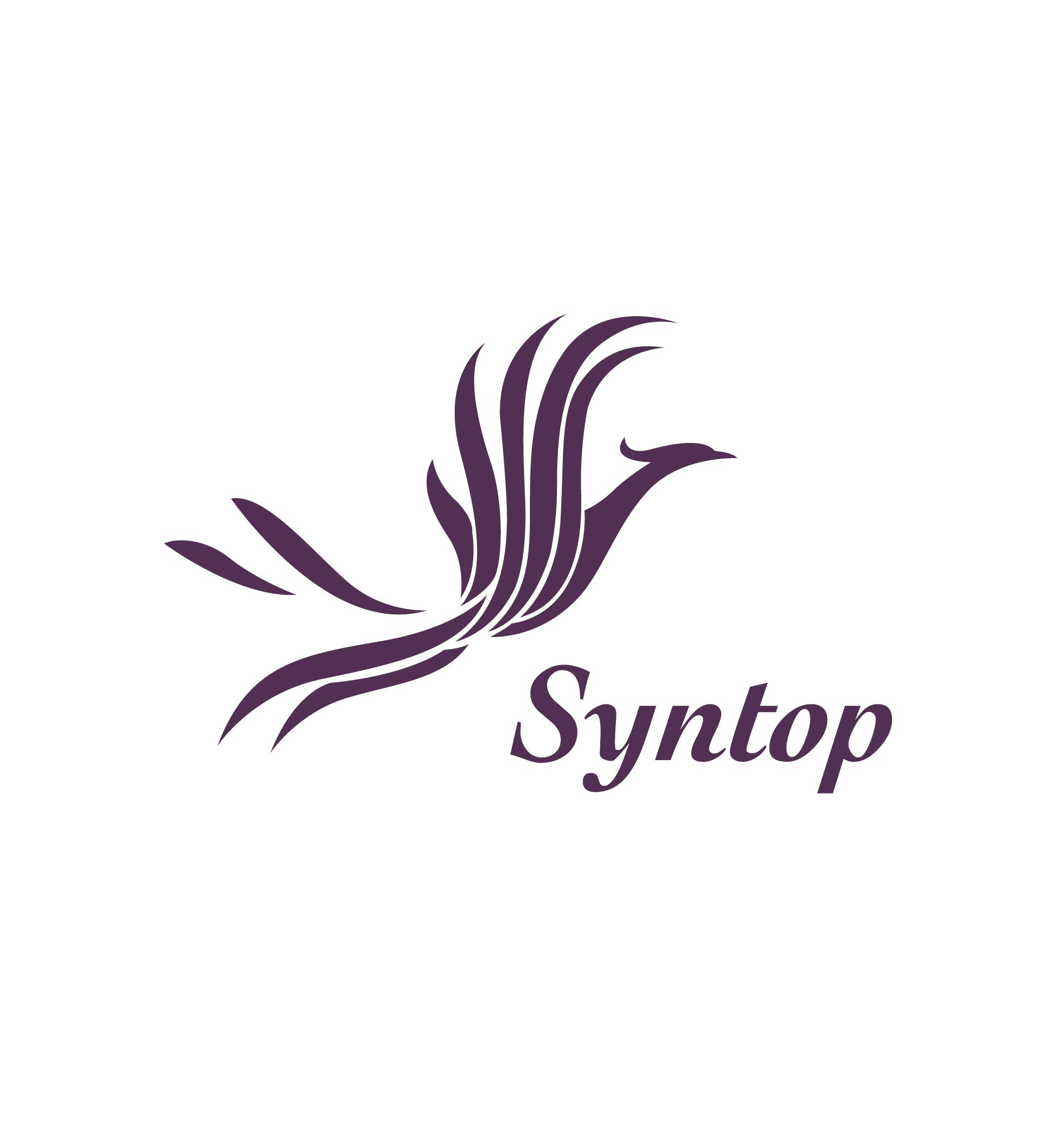 Syntop化学公司。，有限公司