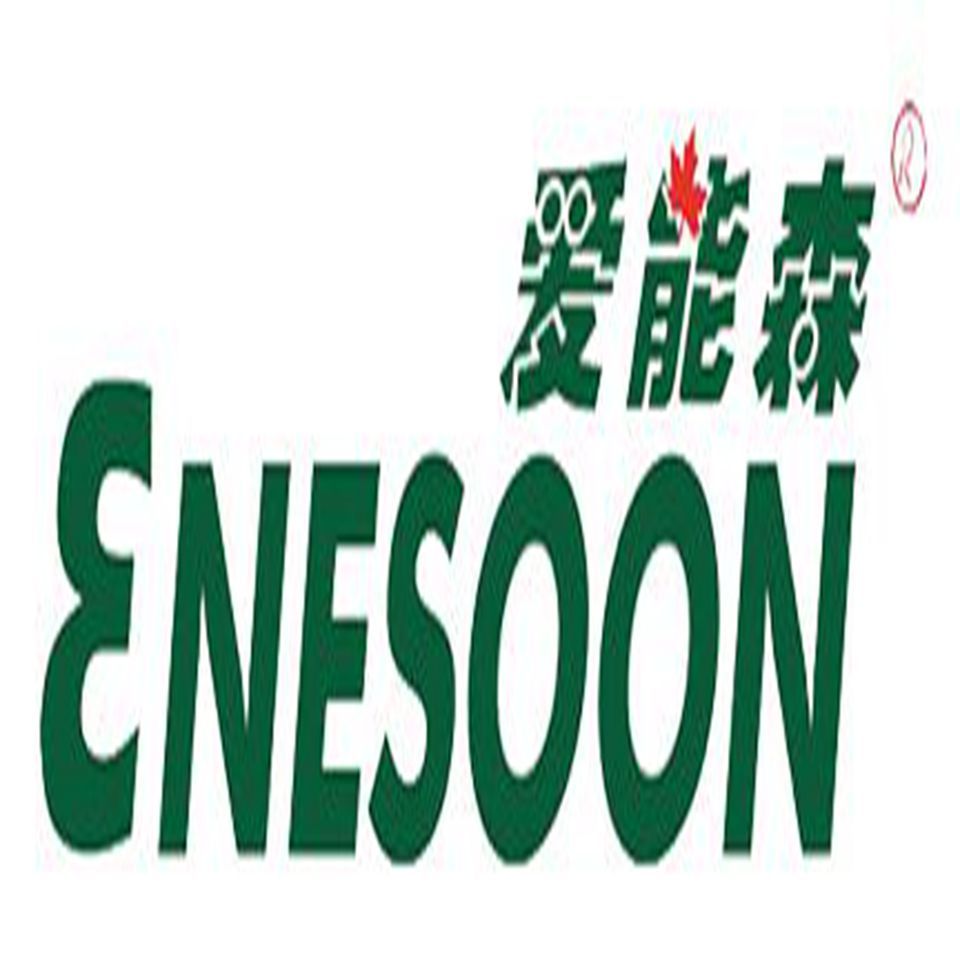Eneson（深圳）高新智能设备有限公司