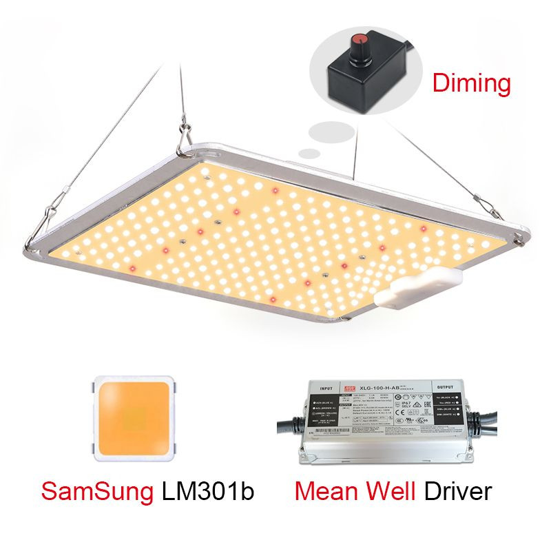 Samsung LM301B Spider SF1000 SF-1000 Farmer Quantum Board QB 100 120瓦LM301H UV IR100w Canabis LED种植灯仓库