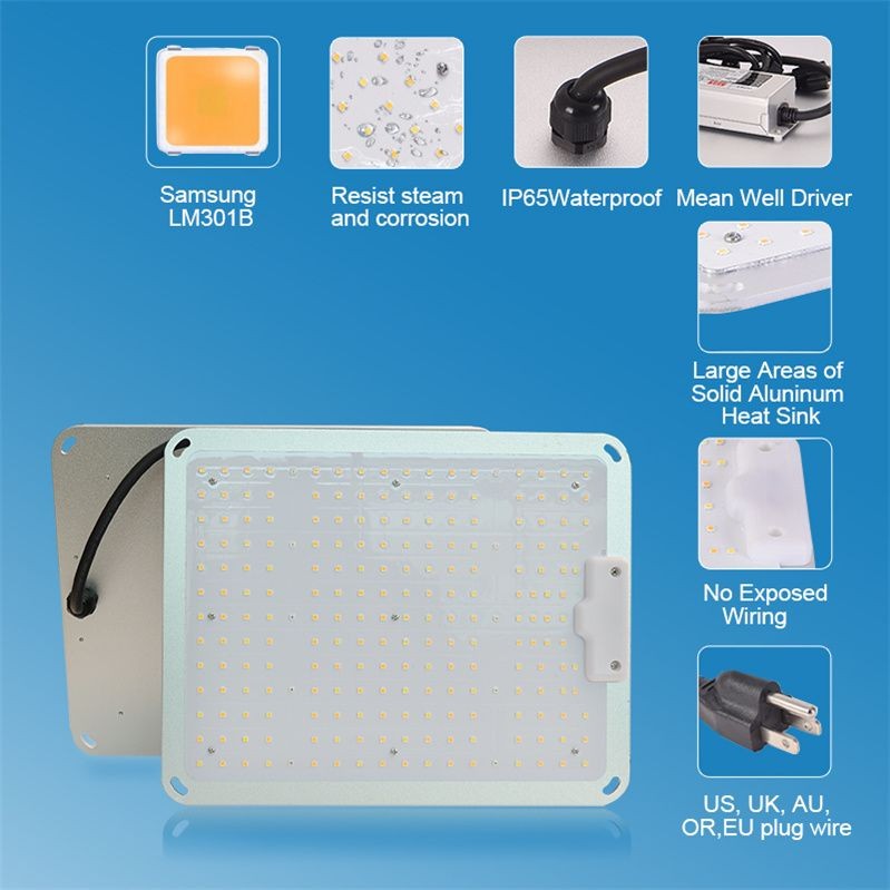 Samsung LM301B Spider SF1000 SF-1000 Farmer Quantum Board QB 100 120瓦LM301H UV IR100w Canabis LED种植灯仓库