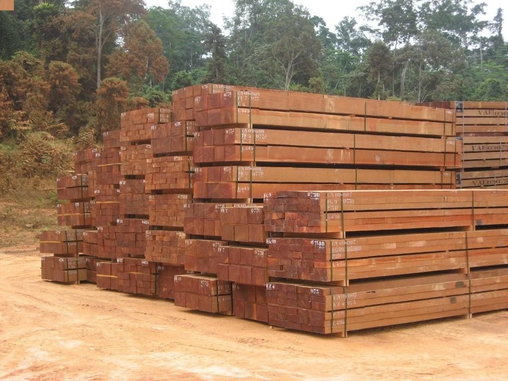 木材喀麦隆Azobe、euchalittus、Sipo、Mahogani、Bubinga、zingana、Sapelle、Okan，