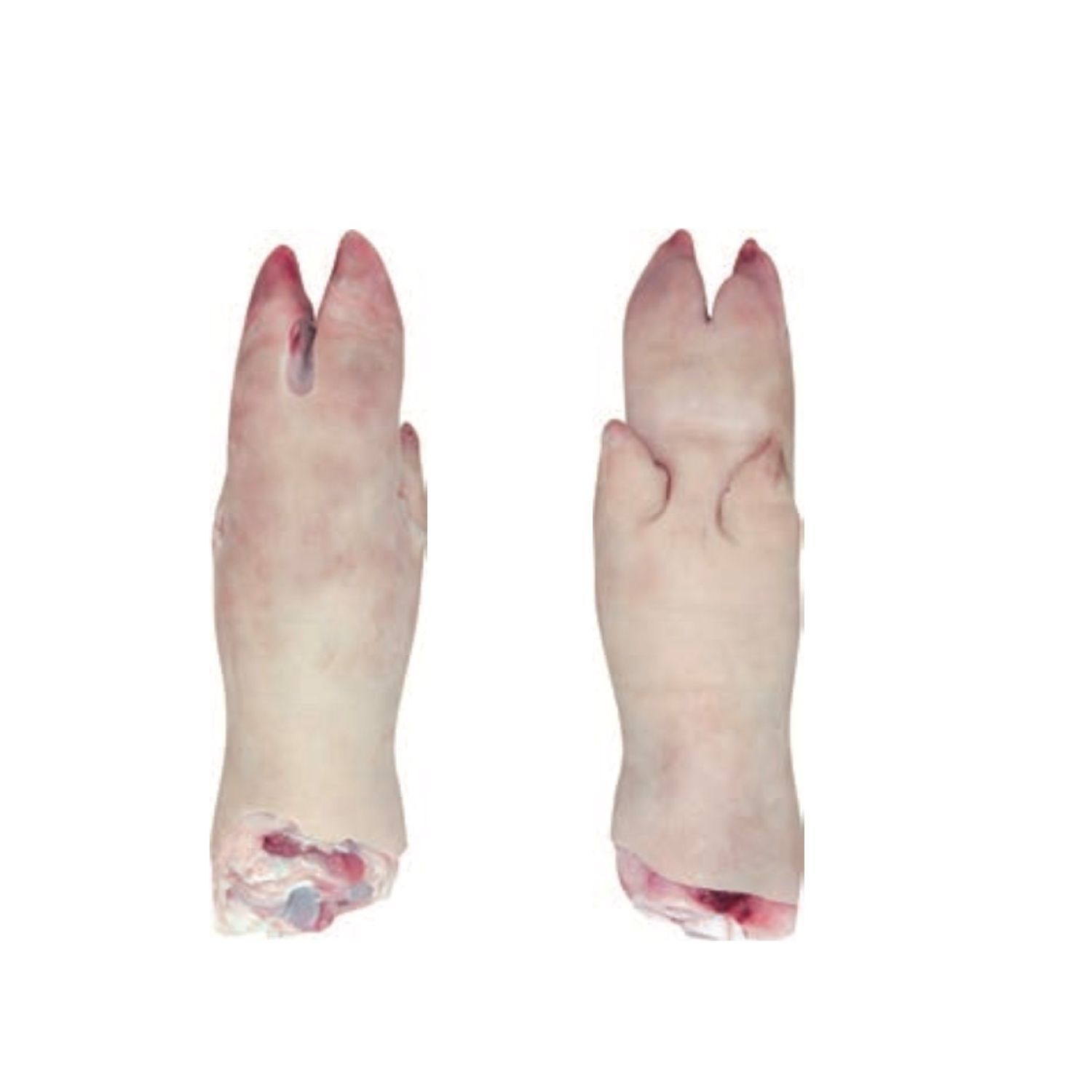 冷冻猪肉脚，猪肉尸体4向6切，冷冻猪耳，猪肉切脂肪