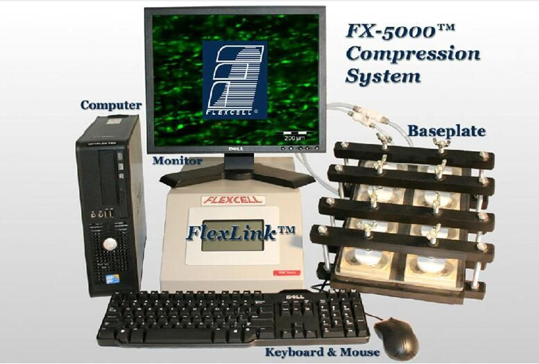 FX-5000T Flexcell张力增强系统