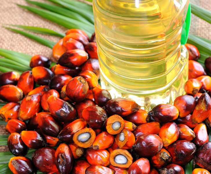 100%纯棕榈油，精制棕榈食用油出售