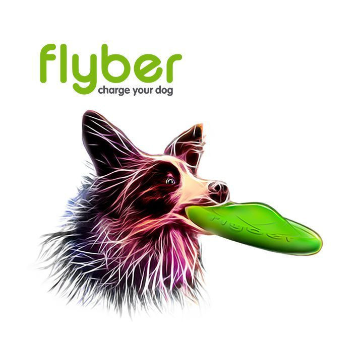 Flyber-第一个为狗狗和它们的主人准备的双面飞行圆盘！