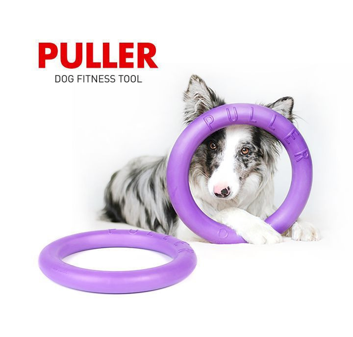 PULLER-一种创新的狗狗健身工具，帮助狗狗主人与宠物建立联系。