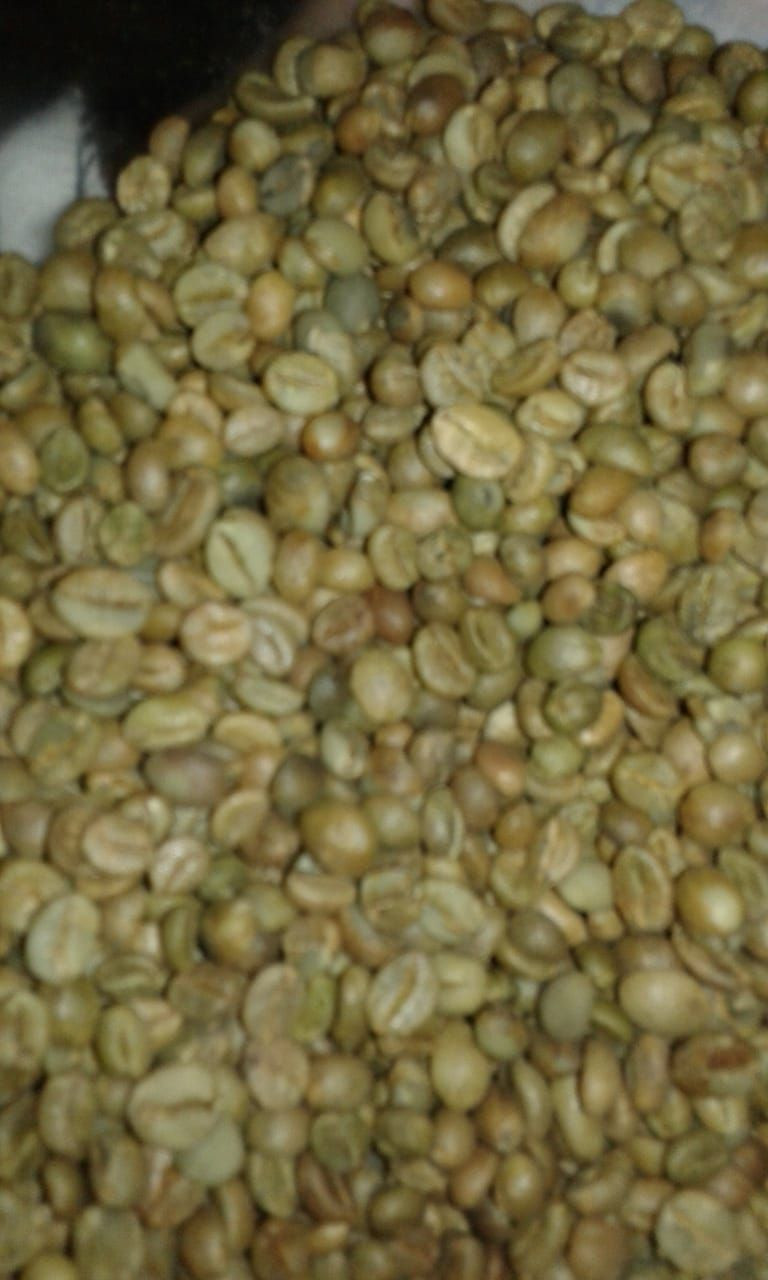 绿色咖啡豆