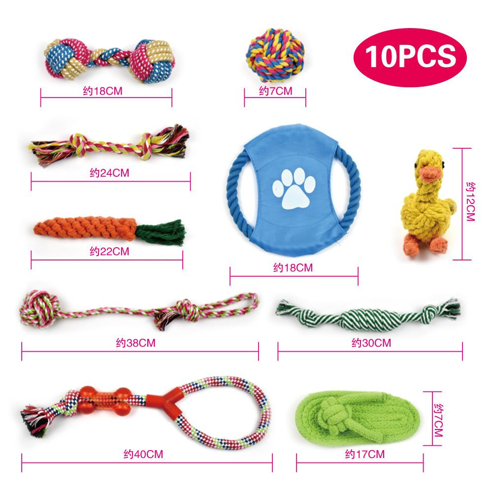 10件宠物训练犬玩具套装
