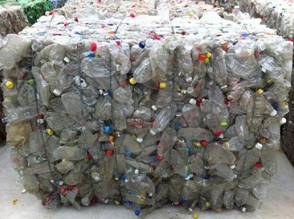 塑料PET瓶标签去除机成本中国供应商