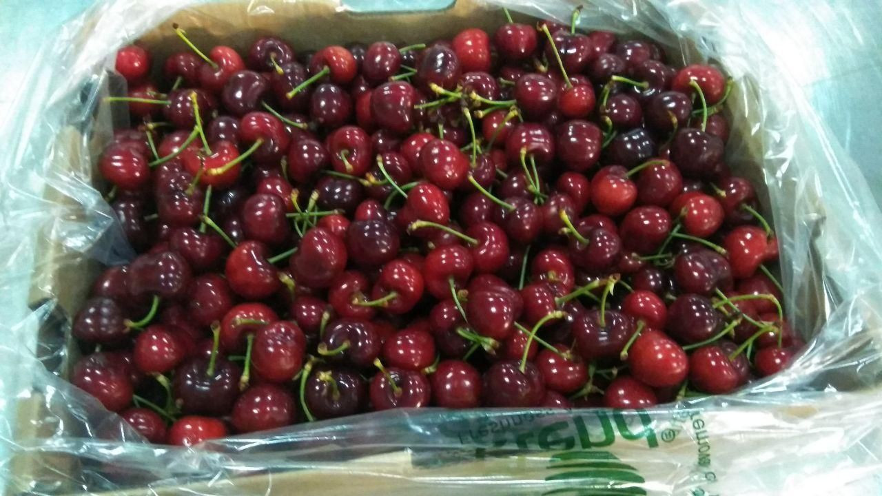乌兹别克斯坦新鲜樱桃