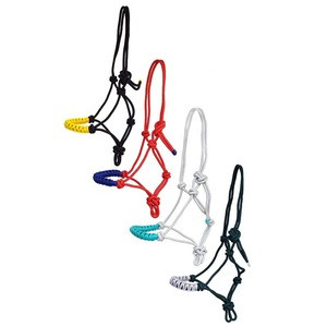带工具皮革鼻梁的马绳Halter