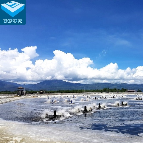 OBOR HDPE土工膜塑料鱼塘衬垫菲律宾价格0.3mm