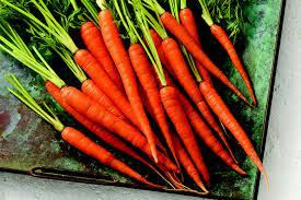 农业新鲜胡萝卜，只是我们广泛供应的一些建议