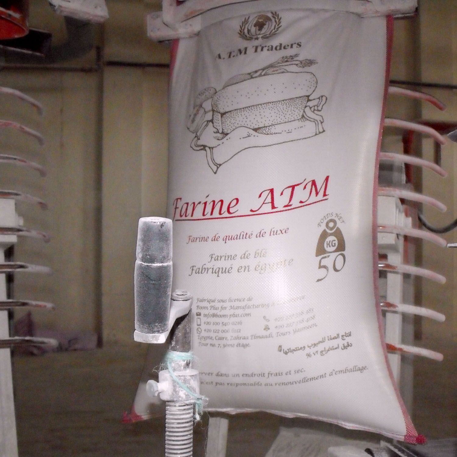 小麦粉50kg Farine ATM品牌