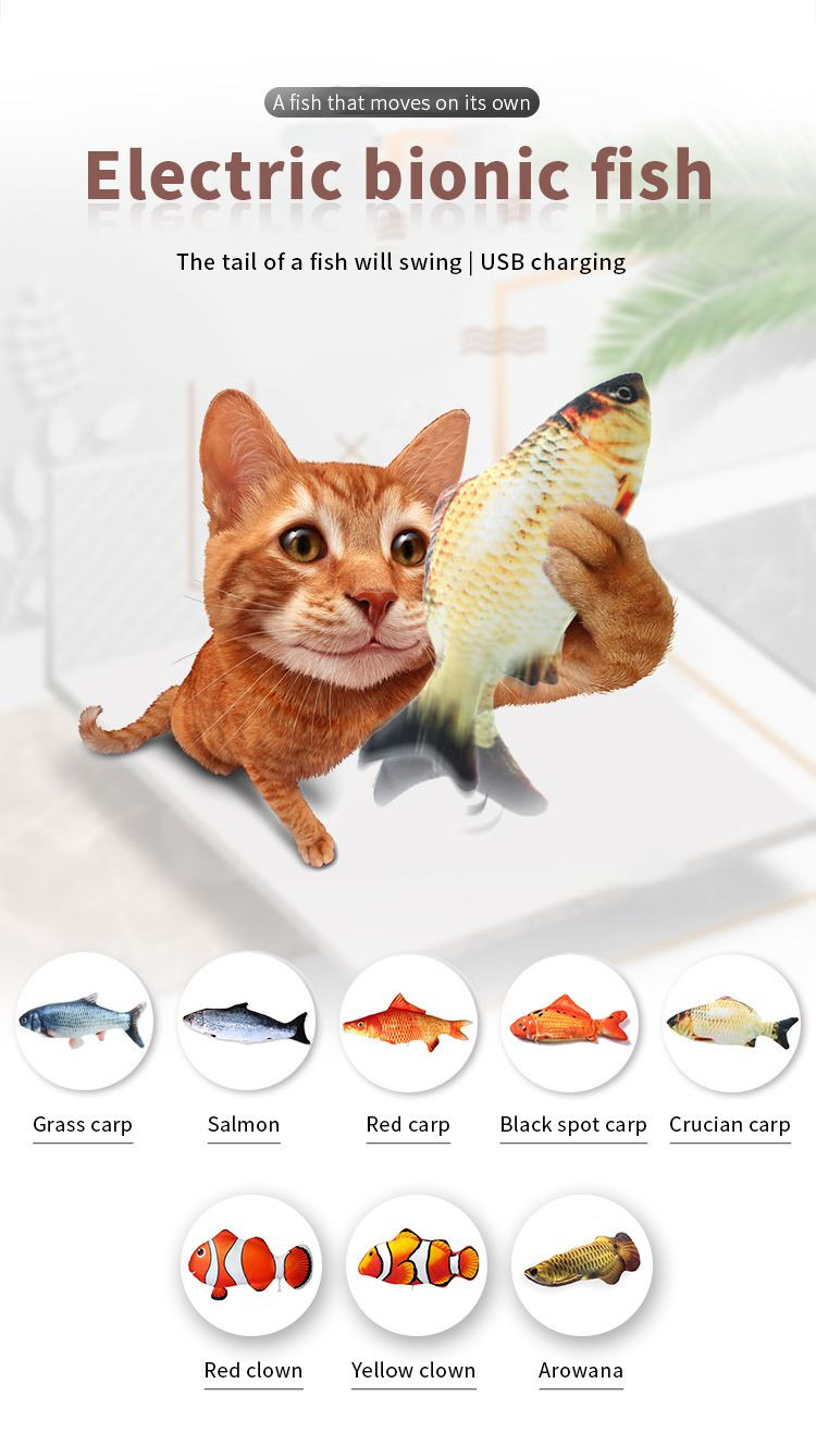 Usb 3d软萌移动猫猫软毛自动电动咀嚼宠物互动鱼猫玩具