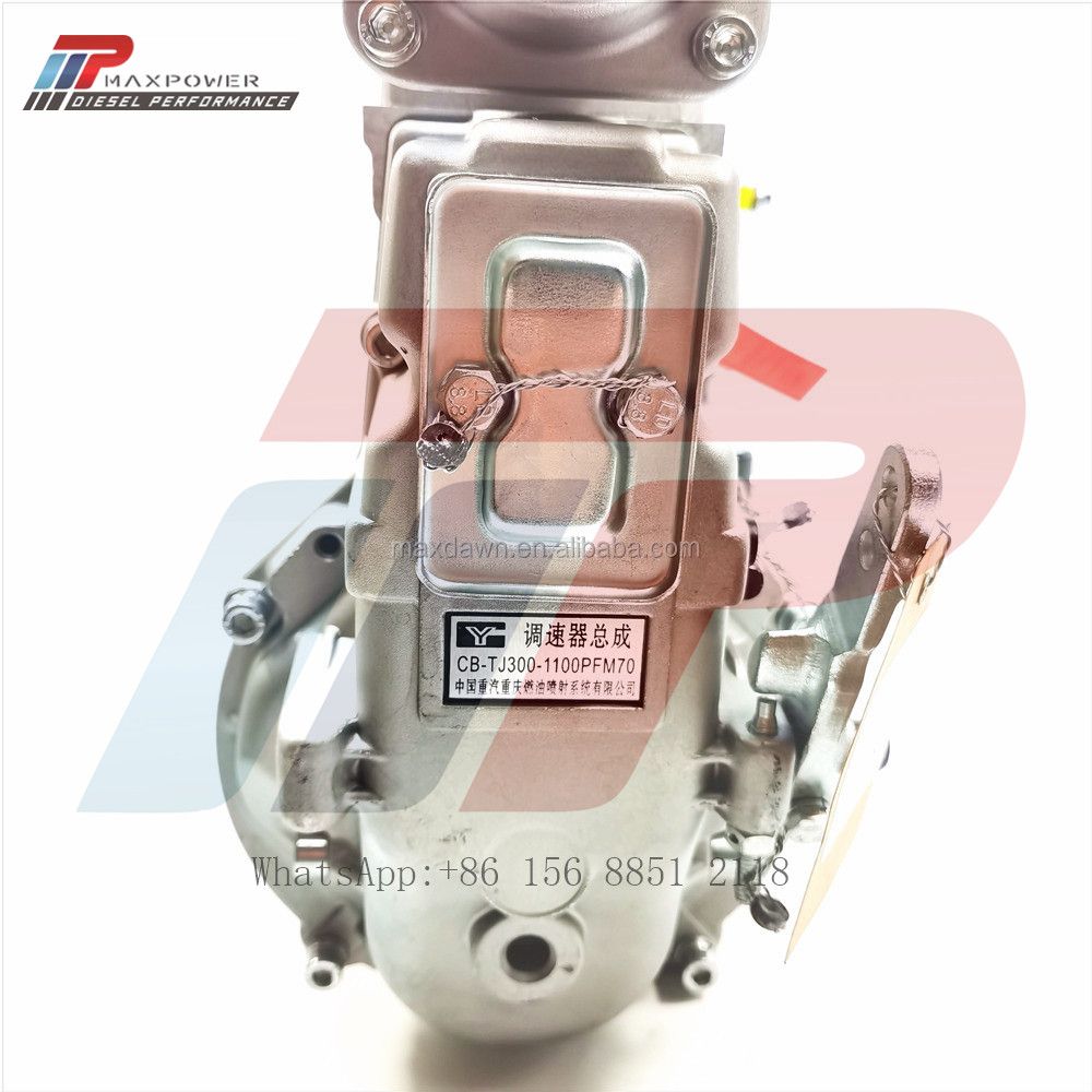 HOWO PS8500中国重汽注射泵VG1560080023
