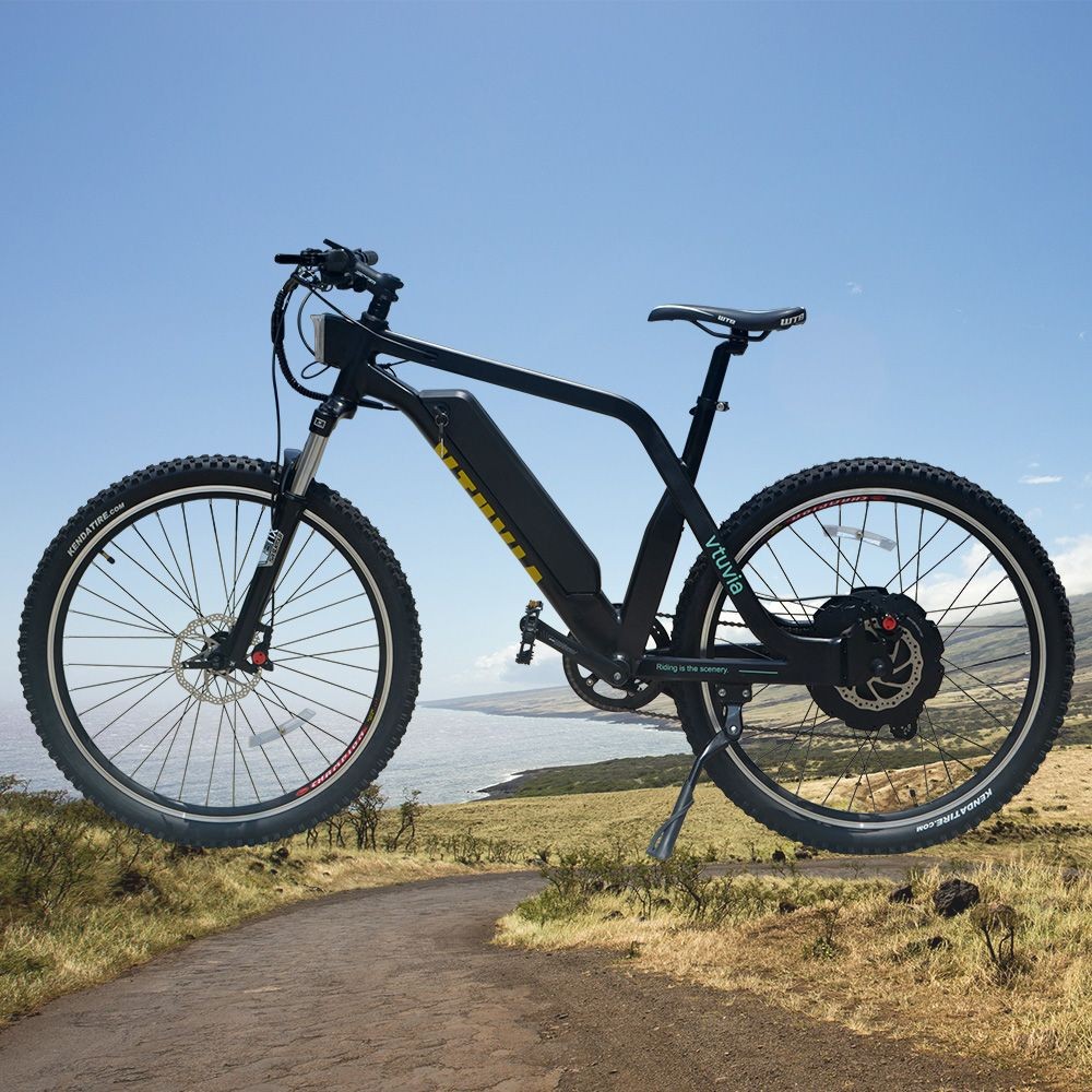 EN15194认证48v 1000瓦电动自行车山地自行车