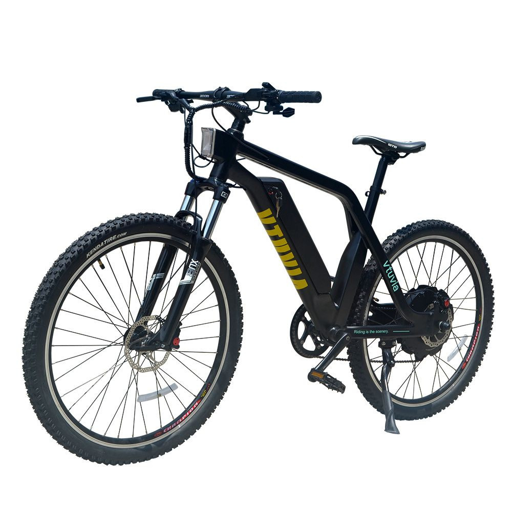 EN15194认证48v 1000瓦电动自行车山地自行车